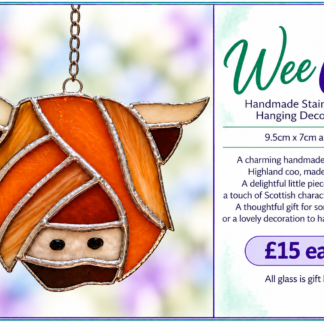 Wee Coo  - Handmade Stained Glass Hanging Decoration