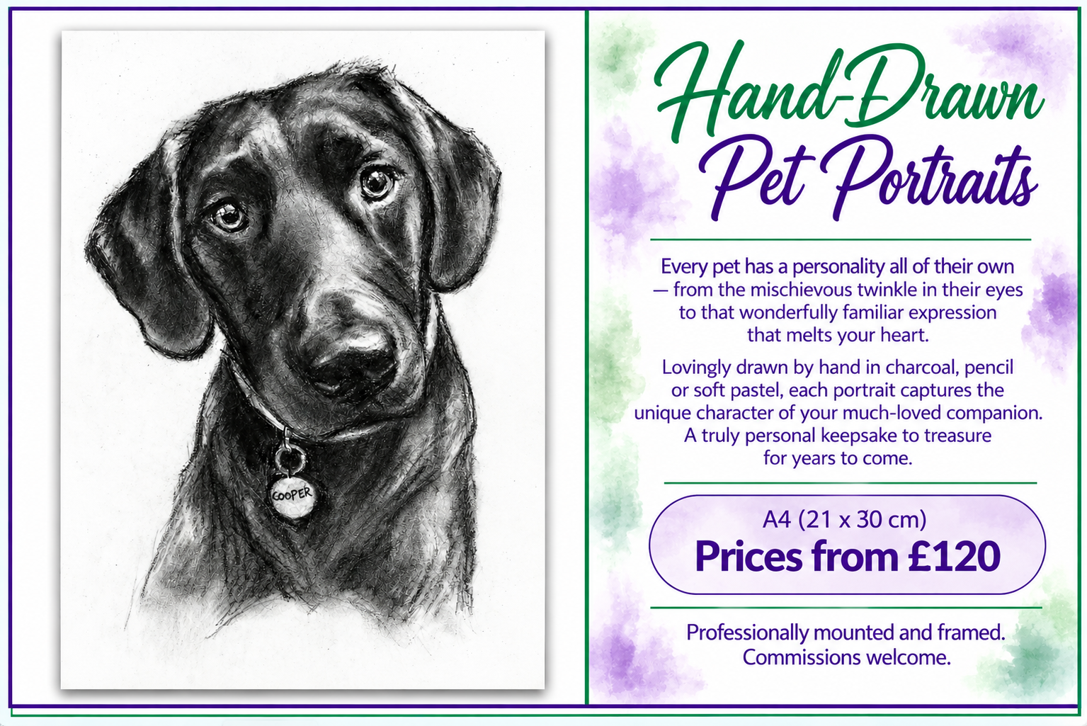 Hand-Drawn Pet Portraits