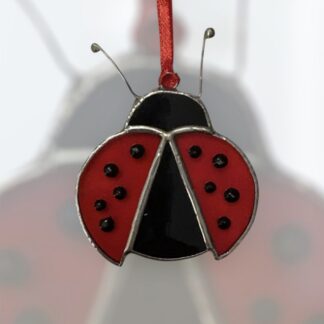 Wee Ladybird