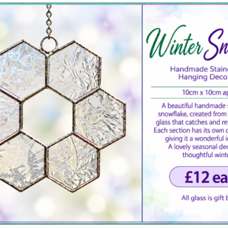 Winter Snowflake